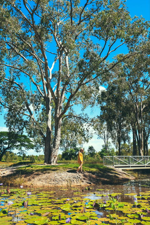 TYTO Wetlands - Accommodation 4U 1