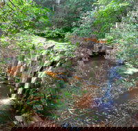 Waitui Falls - Accommodation 4U