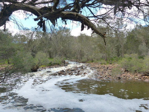 Walyunga National Park - Accommodation 4U 0