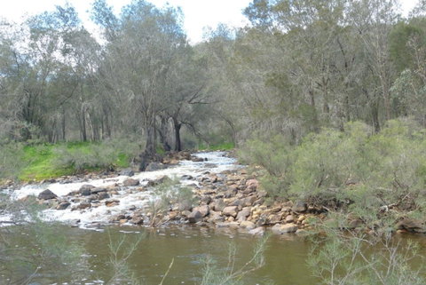 Walyunga National Park - Accommodation 4U 1
