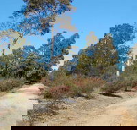 Werakata National Park - Accommodation 4U