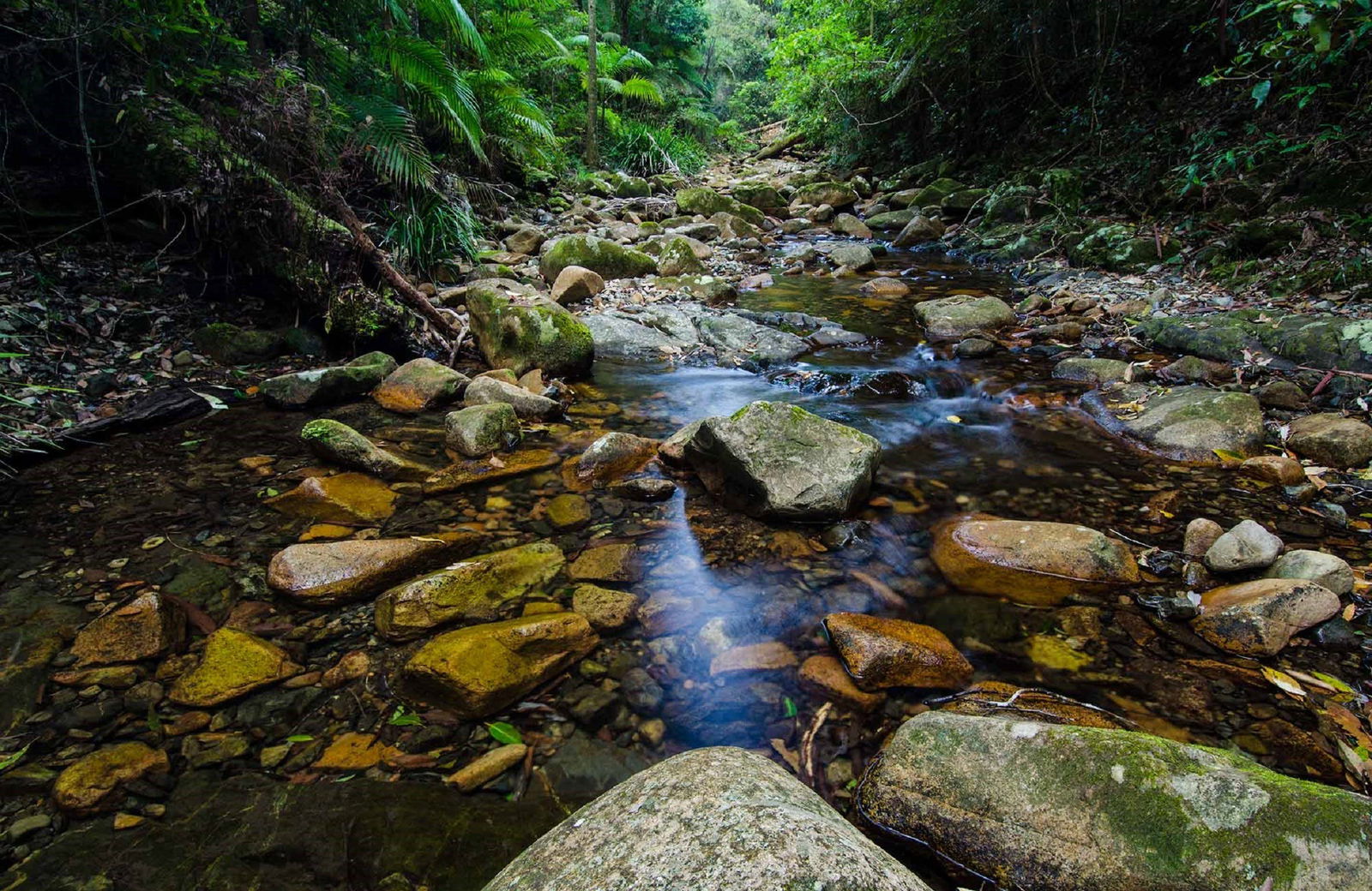 Willi Willi NSW Accommodation 4U