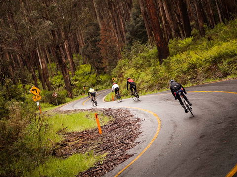 7 Peaks Ride - Lake Mountain - Accommodation 4U 1