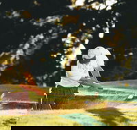 Aberdeen Golf Club - Accommodation 4U