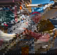 Battlezone Playlive - Accommodation 4U