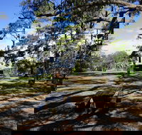 Bowen Mountain Park - Accommodation 4U