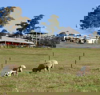 Calmsley Hill City Farm - Accommodation 4U