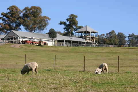 Calmsley Hill City Farm - Accommodation 4U 0