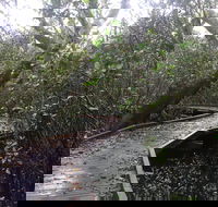 Carole Green Walkway - John Oxley Reserve - Accommodation 4U