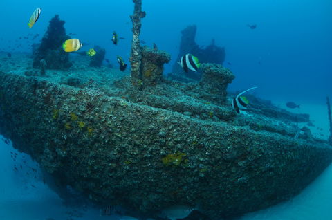 Curtin Artificial Reef Dive Site - Accommodation 4U 1