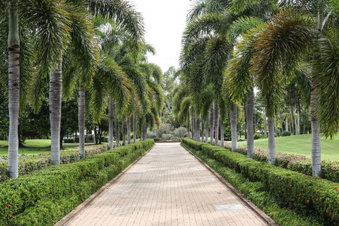 Dan Gleeson Memorial Gardens - Accommodation 4U 0