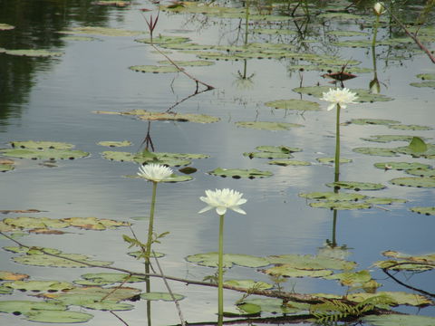 Djukbinj National Park - Accommodation 4U 1