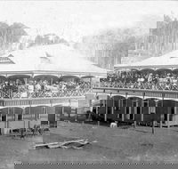 Don Dorrigo and Guy Fawkes Historical Society Museum - Accommodation 4U