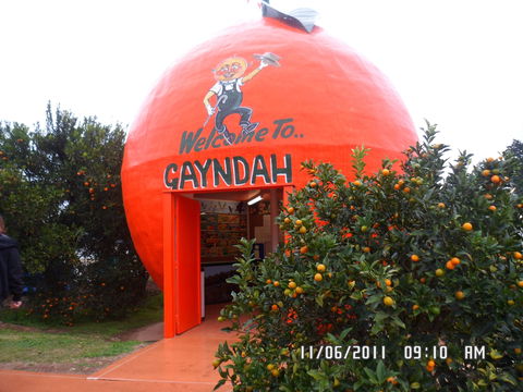 Gayndah's Big Orange - Accommodation 4U 2
