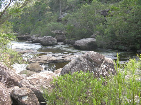 Georges River Nature Reserve - Accommodation 4U 1