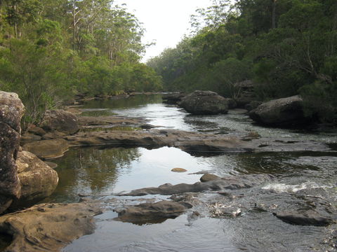 Georges River Nature Reserve - Accommodation 4U 2