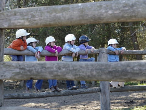 Harlow Park Horse Riding - Accommodation 4U 0