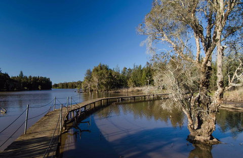 Longneck Lagoon Walking Track - Accommodation 4U 0
