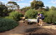 Loxton Community Conservation & Heritage Park - thumb 0