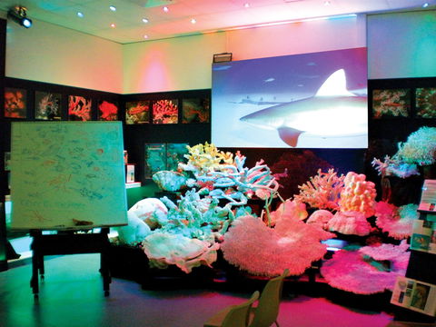 Marine Discovery Centre Hastings Point - Accommodation 4U 0