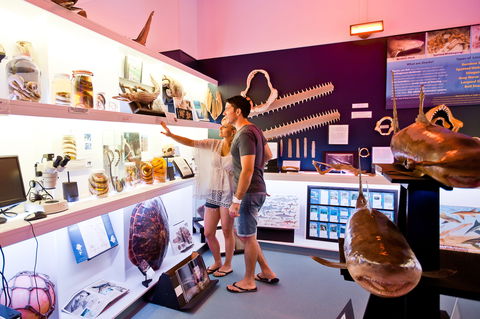 Marine Discovery Centre Hastings Point - Accommodation 4U 1