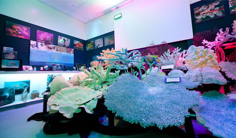 Marine Discovery Centre Hastings Point - Accommodation 4U 2