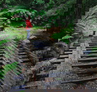 Montezuma Falls - Accommodation 4U