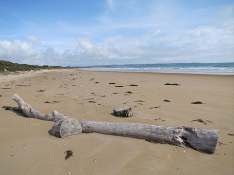 Narawntapu National Park - Accommodation 4U 2