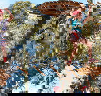 Next Level Monkey Business - Accommodation 4U