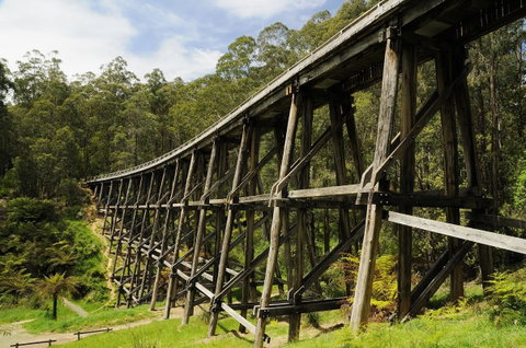 Noojee Trestle Bridge - Accommodation 4U 0