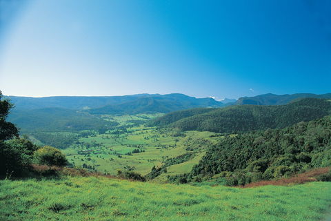 Numinbah Section, Springbrook National Park - Accommodation 4U 0
