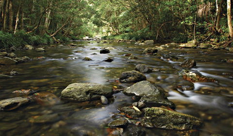Plateau Circuit Loop Trail - Accommodation 4U 0