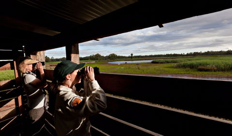 Reed Beds Bird Hide Boardwalk - Accommodation 4U 0