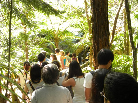 Tamborine Mountain Glow Worm Tours - Accommodation 4U 1