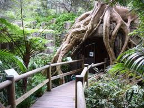 Tamborine Mountain Glow Worm Tours - Accommodation 4U 2