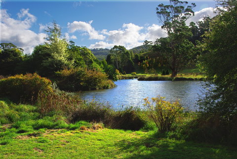 Tasmanian Arboretum Inc. - The - Accommodation 4U 0