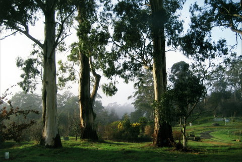 Tasmanian Arboretum Inc. - The - Accommodation 4U 1