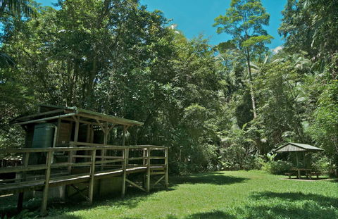 Terania Creek Picnic Area - Accommodation 4U 0