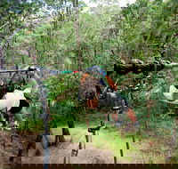 TreeTop Challenge - Accommodation 4U