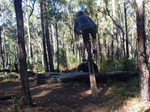 Turner Hill Mountain Bike Trail, Murray - Accommodation 4U 1