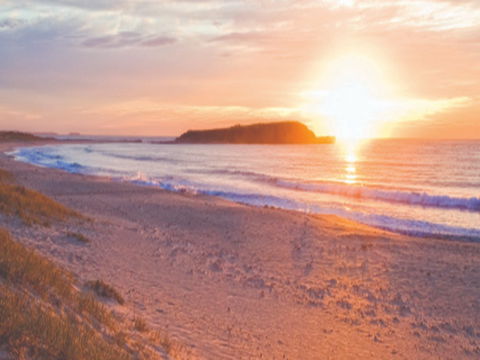 Warilla Beach: Shellharbour - Accommodation 4U 0