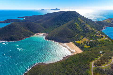 Whale Watching On Keswick Island - Accommodation 4U 1