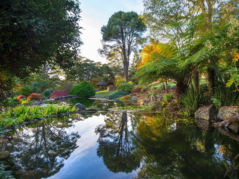 Windyridge Garden Mount Wilson - Accommodation 4U 1