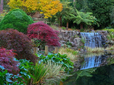 Windyridge Garden Mount Wilson - Accommodation 4U 2