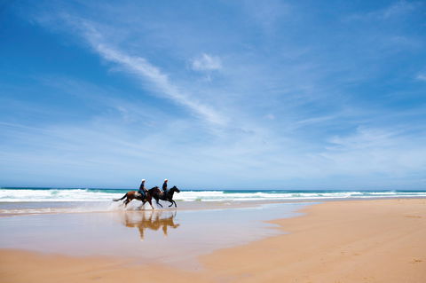 Worimi National Park - Accommodation 4U 2