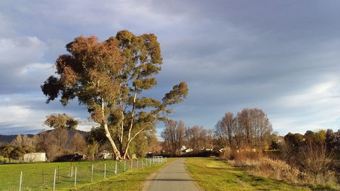 Adelong - Accommodation 4U 2