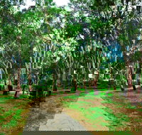 Adungadoo Pathway - Accommodation 4U