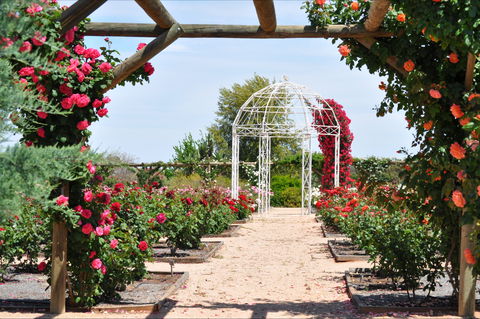 Australian Inland Botanic Gardens - Accommodation 4U 0