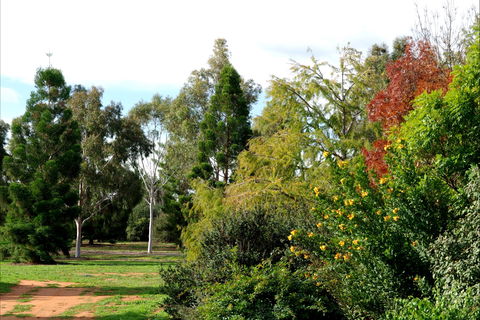 Australian Inland Botanic Gardens - Accommodation 4U 2