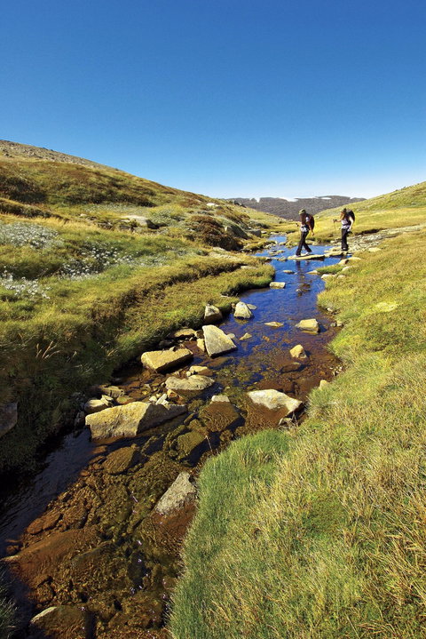 Australian Alps Walking Track - Accommodation 4U 0